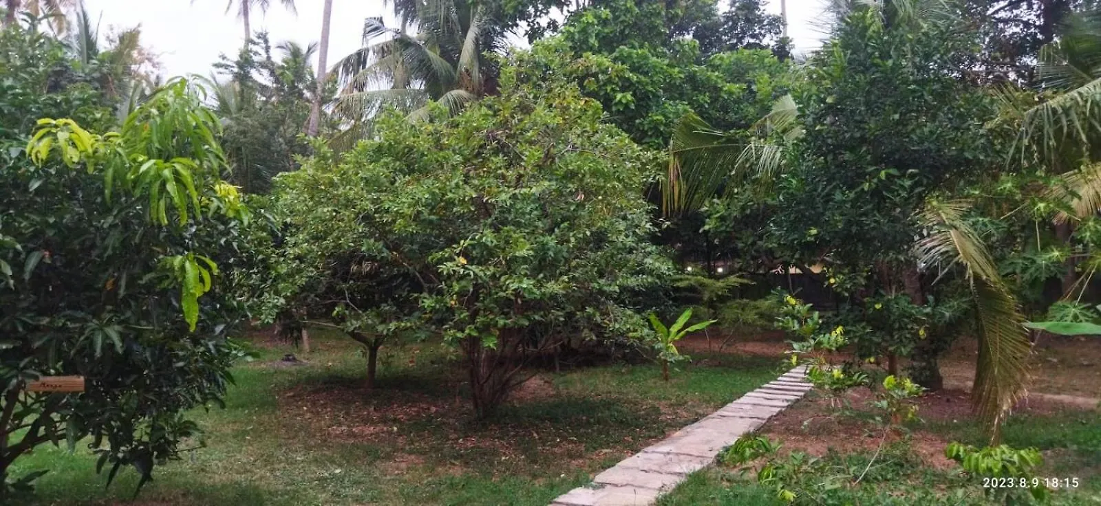 Colombo Airport-Transit-Villa Butterfly Stay Guesthouse 卡图纳耶克 斯里兰卡